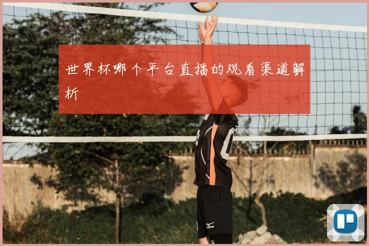 世界杯哪个平台直播的观看渠道解析