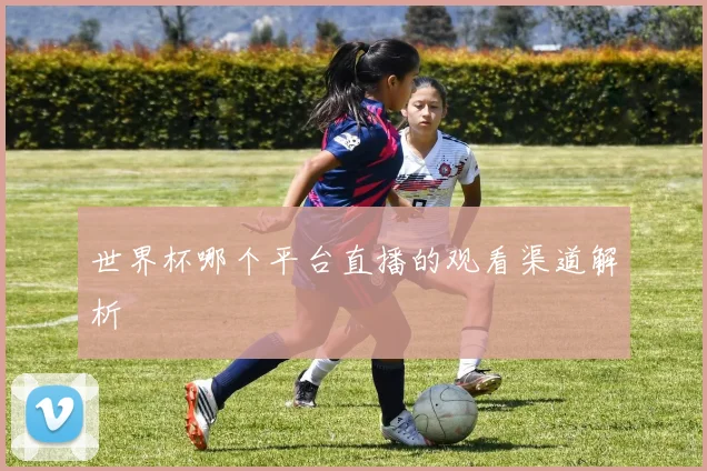 世界杯哪个平台直播的观看渠道解析