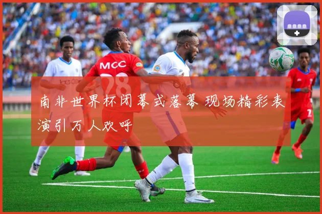 南非世界杯闭幕式落幕 现场精彩表演引万人欢呼