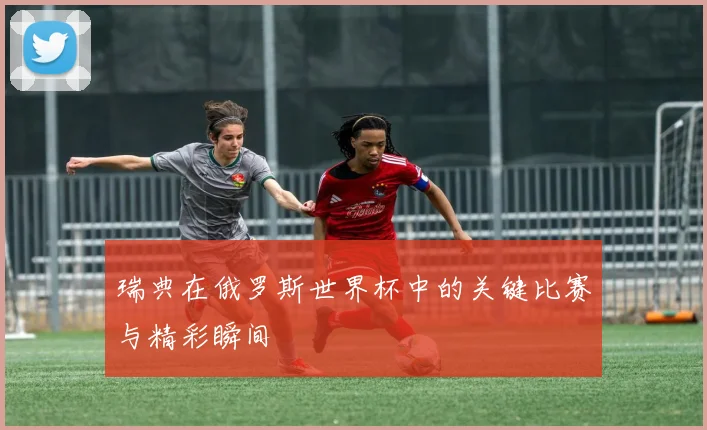 瑞典在俄罗斯世界杯中的关键比赛与精彩瞬间